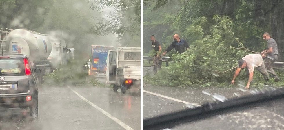 Pioggia e vento, i rami di una grossa pianta si abbattono sulla Ss47 “della Valsugana”